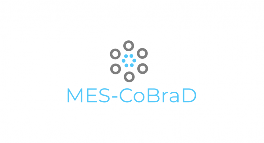 MES-CoBraD