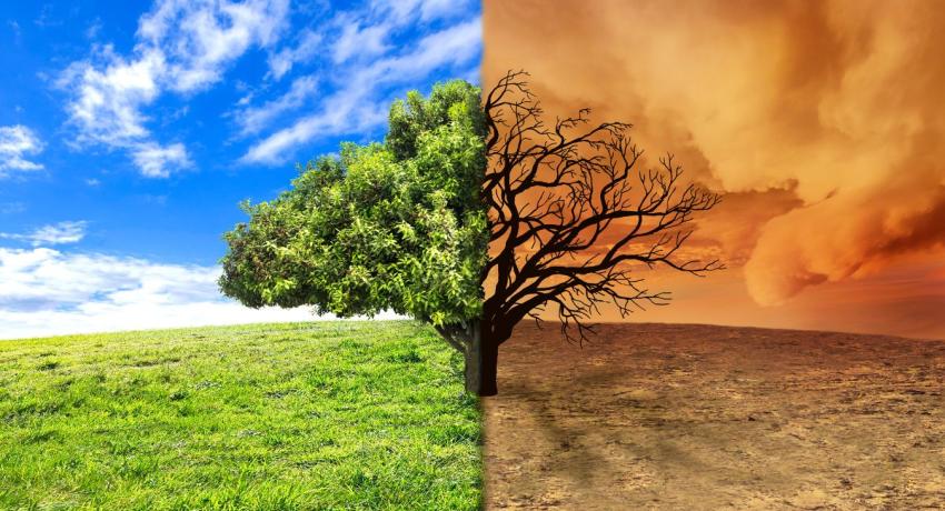 climate change