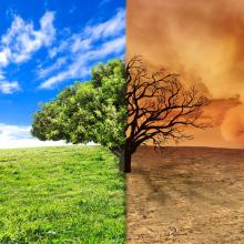 climate change
